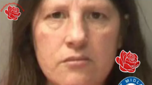 Ann Clare – profile image